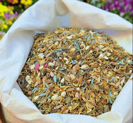 🔥Last day clearance💝Mixed Perennial Flowers Seeds-Over 60 kinds mixed - Image 10