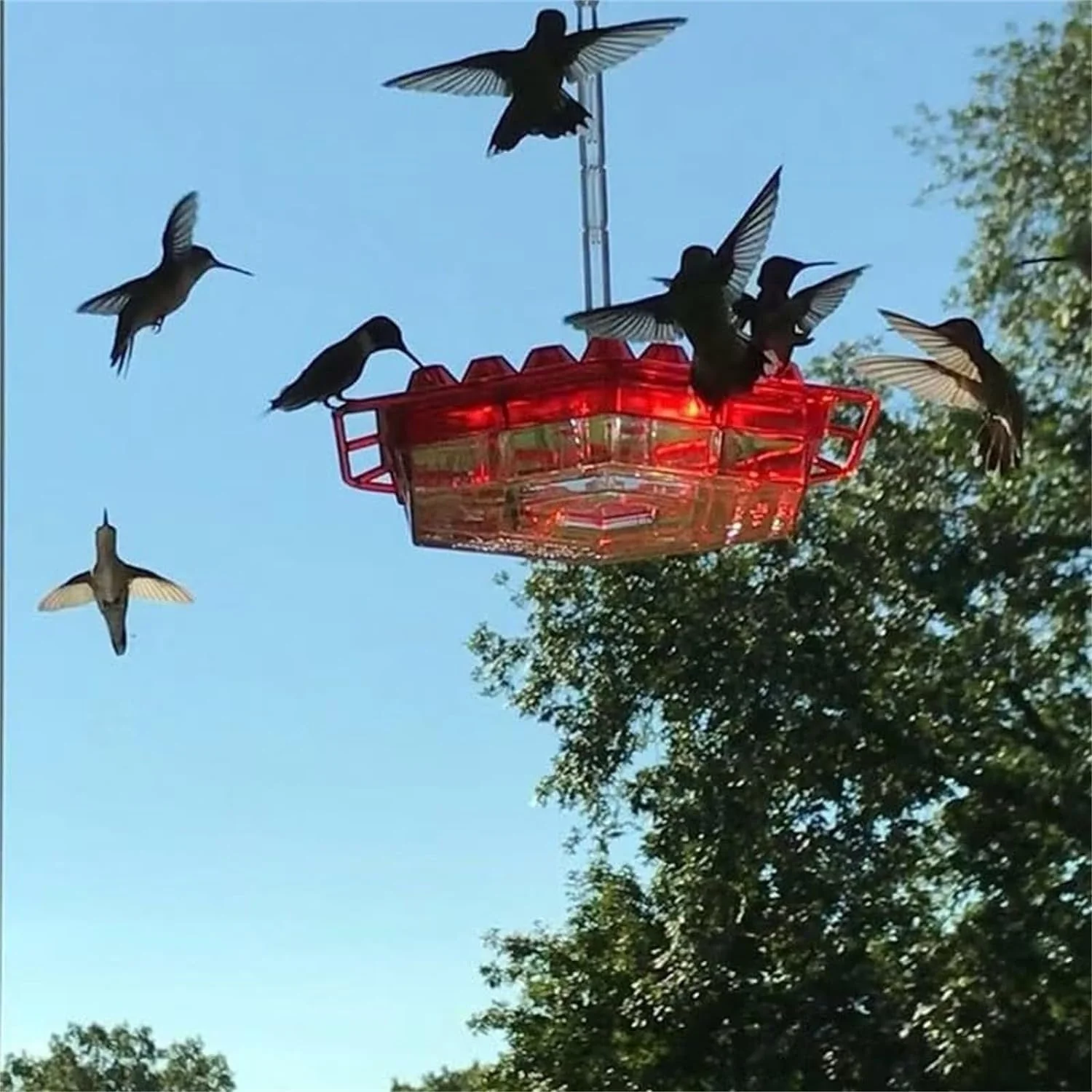 ✨Hummingbird Feeders for Outdoors Hanging - Image 8